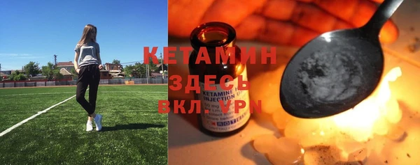 крисы Армянск