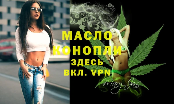 крисы Армянск
