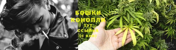 крисы Армянск