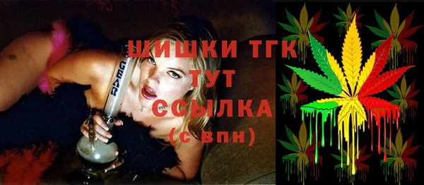 крисы Армянск