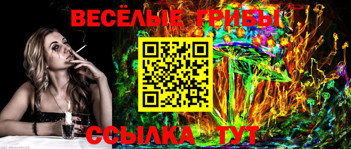 Галлюциногенные грибы Psilocybe Электрогорск