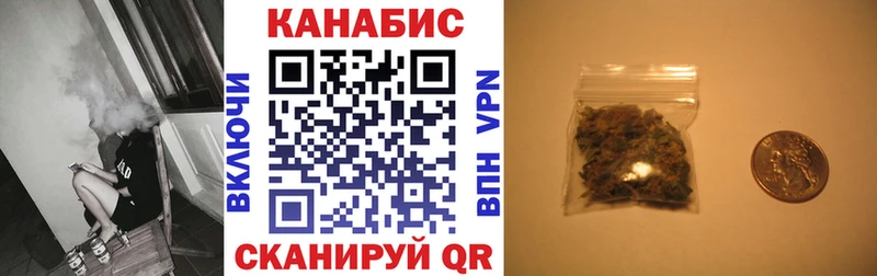 дарнет шоп  Электрогорск  Шишки марихуана планчик 